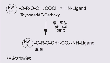 5d40f87843c53.png A3.png