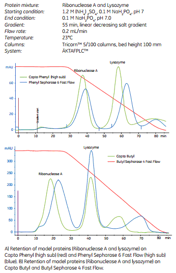 5d41092f6c6c6.png A1.png