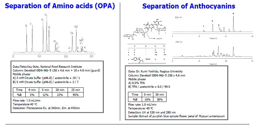 5d56092e4e0fb.png 2.png