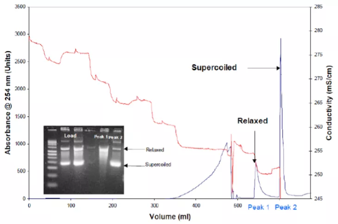 5fbccb6c0b8b2.png 4.png